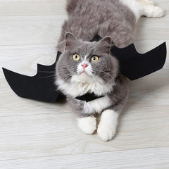 Batty Kitty Wings