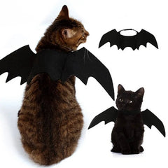 Batty Kitty Wings