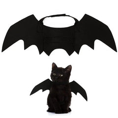 Batty Kitty Wings